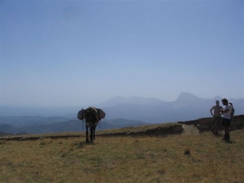 trekking con i muli-244.jpg